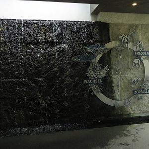 Etosha house - entrance hall