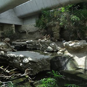 Gamgoas - crocodile enclosure