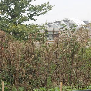 Chester Zoo, construction of Islands 13 September 2014