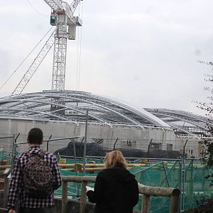 Chester Zoo, construction of Islands 13 September 2014