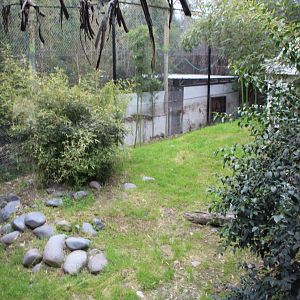 Buin Zoo - Tiger Exhibit