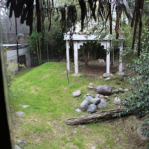 Buin Zoo - Tiger Exhibit