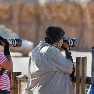 Big whites at the zoo