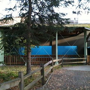 Polar Bear Underwater Viewing