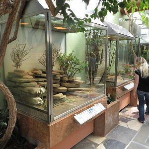 Exotarium - Terraria