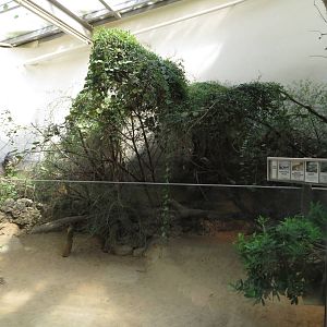 Exotarium - Madagascar