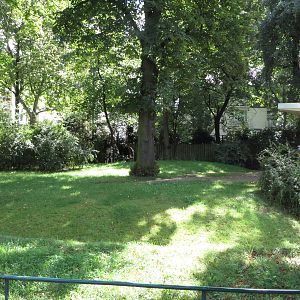 Giraffe house - okapi outdoors