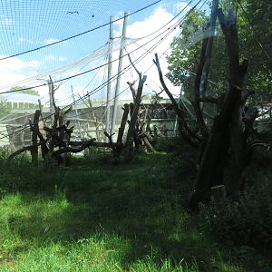 Borgori house - bonobo outdoors