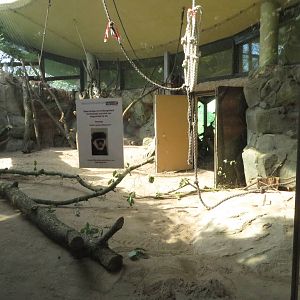 Borgoriwald - former drill indoors.