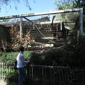 Monkey house - capuchin outdoors