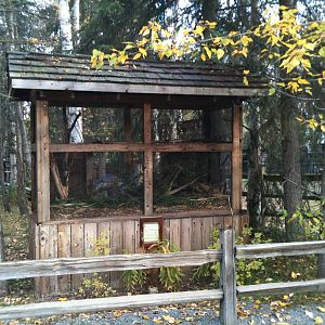 American Red Squirrel Exhibit