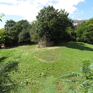 Sable antelope enclosure