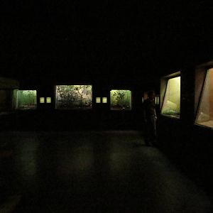 Bird house - jewel hall