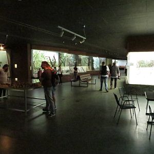 Bird house - main hall