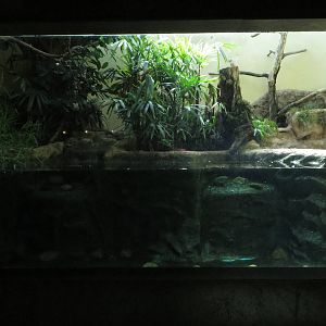 Bird house - aquatic display