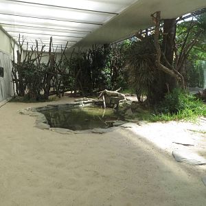 Bird house - Marabu enclosure