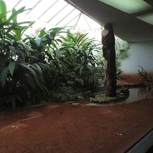 Bird house - pied heron enclosure