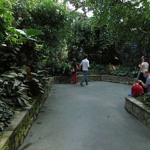 Bird house - Free flight