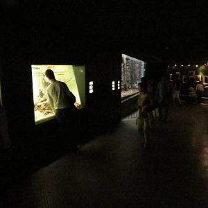 Grzimek house - interior