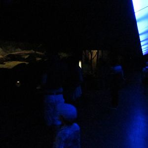 Grzimek house - visitor path