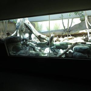 Grzimek house - otter indoors