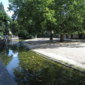 Grevy zebra enclosure