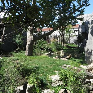 Spectacled bear enclosure