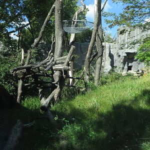 Spectacled bear enclosure