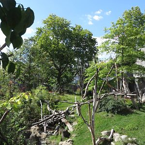 Spectacled bear enclosure