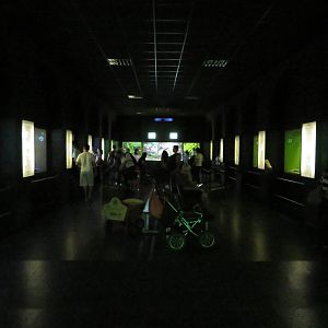 Exotarium - aquariums