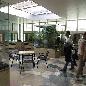 Exotarium - insectarium