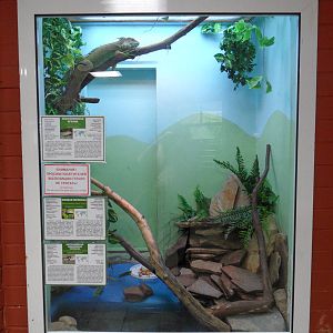 Iguana & turtles exhibit