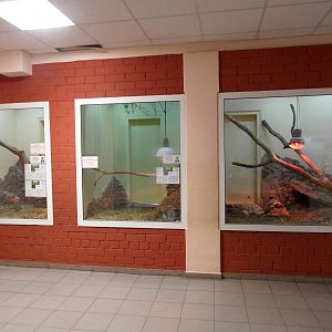 Tortoise exhibits