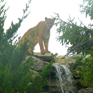 Jun. 2014 - Cat Canyon - Joseph