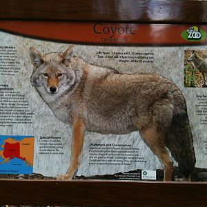 Coyote Educational Sign