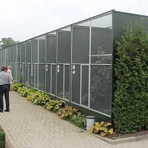 Outdoor aviaries