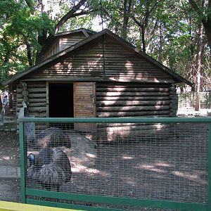 Emu exhibit