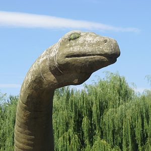 Diplodocus