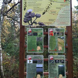 New sign and creekside overlook.  Sign regards recognition of invasive plan