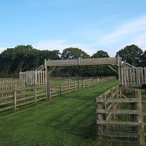 Windmill Animal Farm