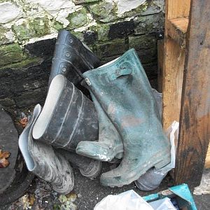 More zoo history consigned to the scrapheap, 20th September 2014