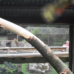 Oops, it has gone! 21st September 2014