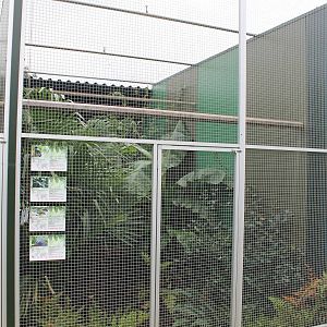 Mixed species aviary