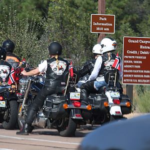 Grand Canyon wildlife