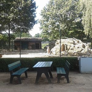 Barbary sheep enclosure