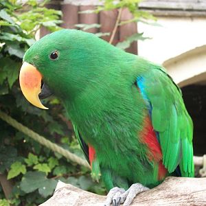 Eckie, 21st September 2014