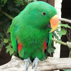 Eckie, 21st September 2014