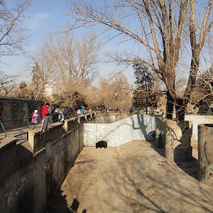 Former bear pit, reborn 2014