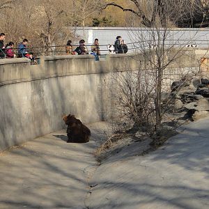 Former bear pit, reborn 2014