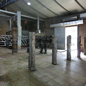 indoor asian elephant exhibit - Zoo Neunkirchen